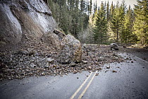Landslide blocking forest road, Mount Hood National Forest, Oregon