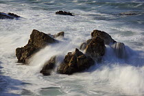 Wave breaking, California