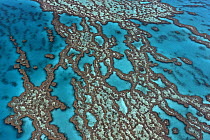 Coral formations on Hardy Reef, Great Barrier Reef, Queensland, Australia