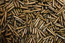 Confiscated and decommissioned poacher's bullets at park headquarters, Odzala-Kokoua National Park, Democratic Republic of the Congo