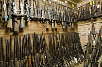 Confiscated and decommissioned poacher's rifles at park headquarters, Odzala-Kokoua National Park, Democratic Republic of the Congo