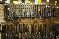 Confiscated and decommissioned poacher's rifles at park headquarters, Odzala-Kokoua National Park, Democratic Republic of the Congo
