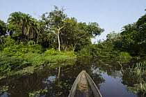 Dugout canoe on Lekoli River, Democratic Republic of the Congo