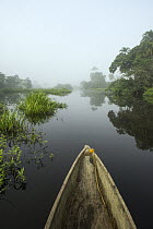 Canoe on Lekoli River, Democratic Republic of the Congo