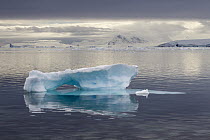 Iceberg, Gonzalez Videla Antarctic Base, Paradise Bay, Antarctic Peninsula, Antarctica
