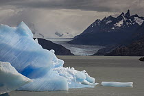 Icebergs in Grey Lake with Grey Glacier in background, Torres del Paine National Park, Chile