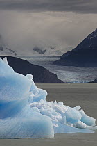 Icebergs in Grey Lake with Grey Glacier in background, Torres del Paine National Park, Chile
