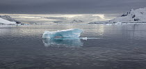 Iceberg, Gonzalez Videla Antarctic Base, Paradise Bay, Antarctic Peninsula, Antarctica