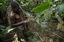 Ba'Kola Pygmy preparing duiker hunting nets, Odzala-Kokoua National Park, Democratic Republic of the Congo