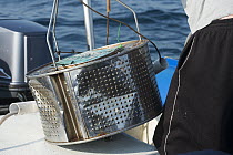 Chum bucket for baited shark dive, Umkomaas, Kwazulu Natal, South Africa