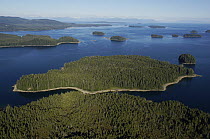 Spruce (Picea sp) forests on islands, Inside Passage, southeast Alaska