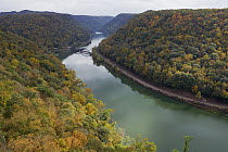 Deciduous forest in autumn and New River, West Virginia