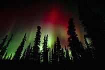 Aurora borealis, Wrangell-Saint Elias National Park, Alaska