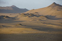Nazca Desert, Paracas National Reserve, Peru