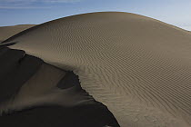 Sand dune, San Fernando Reserve, Nazca Desert, Peru