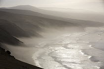 Coast, San Fernando Reserve, Nazca Desert, Peru