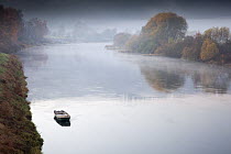 Autumn mist across river, Weser River, Lower Saxony, Germany
