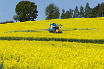 Oil Seed Rape (Brassica napus) field being sprayed with insecticide, Germany