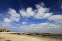 Beach at low tide, Slufter Nature Reserve, Texel Island, North Sea, Netherlands