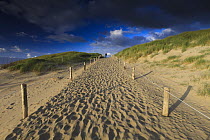 Path between sand dunes, Texel Island, North Sea, Netherlands