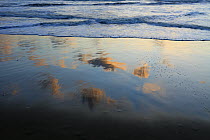 Cloud reflections on beach at sunset, Texel Island, North Sea, Netherlands