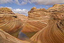 The Wave rock formation, Vermillion Cliffs National Monument, Arizona