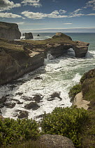 Tunnel Beach showing natural arch, Otago Peninsula