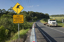 Lumholtz's Tree-Kangaroo (Dendrolagus lumholtzi) roadkill prevention sign, Atherton Tableland, Queensland, Australia