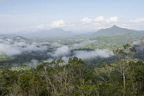 Rainforest, Cockscomb Basin Wildlife Sanctaury, Belize
