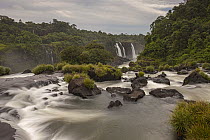 Iguacu Falls cascading in rainforest, Iguacu Falls National Park, Brazil