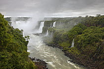 Iguacu Falls, the world's largest waterfalls, Iguacu National Park, Brazil