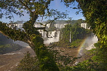 Rainbow over Iguacu Falls, largest waterfalls in the world, Iguacu National Park, Brazil