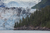 Surprise Glacier, Harriman Fjord, Prince William Sound, Alaska