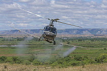 Migratory Locust (Locusta migratoria) control operation with insecticide delivery by FAO helicopter, Miandrivazo, Madagascar