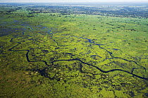 Flooded fields, Pantanal, Brazil