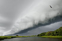 Cumulus cloudbank before rainy season tropical storm, Rio Touro Morto River, Pantanal, Brazil