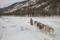Caribou (Rangifer tarandus) caravan crossing frozen lake led by Tsataan herder, Hunkher Mountains, Mongolia
