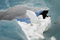 Ice cave, Franz Josef Glacier, Westland National Park, New Zealand