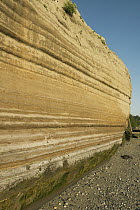 Varve sediment layers, indicative of Pleistocene inter-glacial lake sediments, Discovery Park, Seattle, Washington