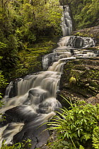 Waterfalls after rain, McLeans Falls, Catlins, Southland, New Zealand