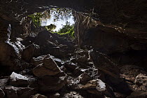 Cave entrance, Gcwihaba Caves, Botswana