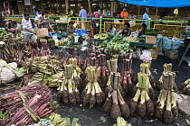 Taro (Colocasia esculenta) being sold in market, Suva, Viti Levu, Fiji