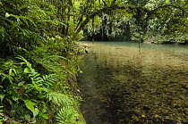 Clear rocky streams indicating pristine habitats are becoming an increasingly rare sight in Malaysia, Lubang Buaya, Batang Ai National Park, Malaysia
