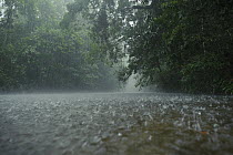 Heavy rain falling over a small river amid lowland rainforest, Nanga Sumpa, Batang Ai National Park, Malaysia
