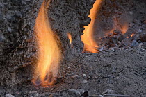 Smokeless fires dance where natural gas seeps from cracks in limestone rocks, Tanjung Api National Park, Ampana, Indonesia