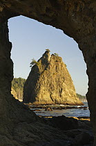 Seastack seen through Hole-in-the-Wall natural arch, Rialto Beach, Olympic National Park, Washington