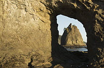 Seastack seen through Hole-in-the-Wall natural arch, Rialto Beach, Olympic National Park, Washington