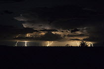 Summer lightning storm, Nxai Pan National Park, Botswana