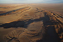 Aerial view of transverse sand dunes, Namib Desert, Namibia