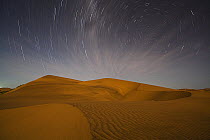 Star trails above red sand dune at night, Dorob National Park, Namib Desert, Namibia